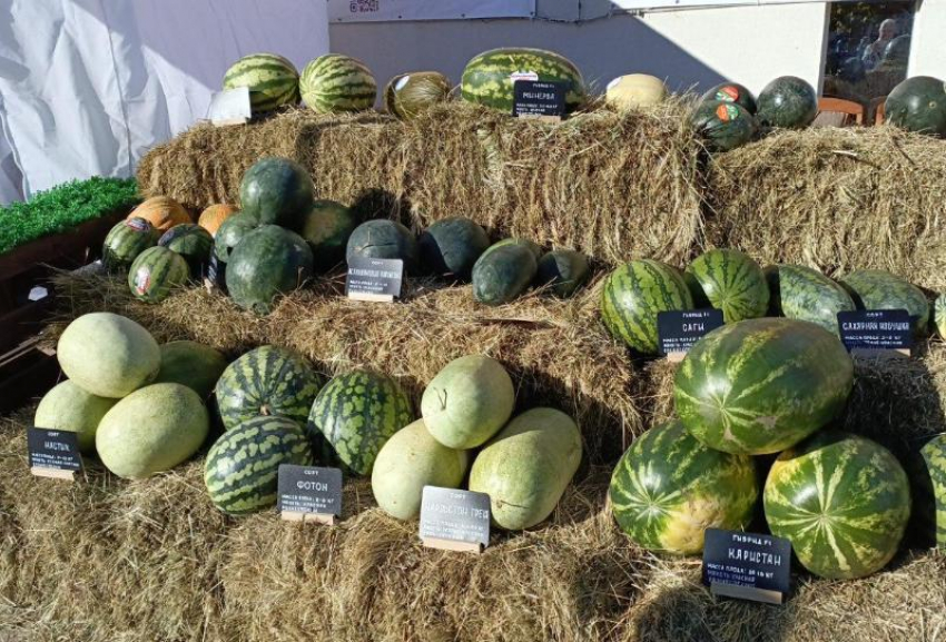 В Астрахани состоится фестиваль с презентацией агрокультурных новинок