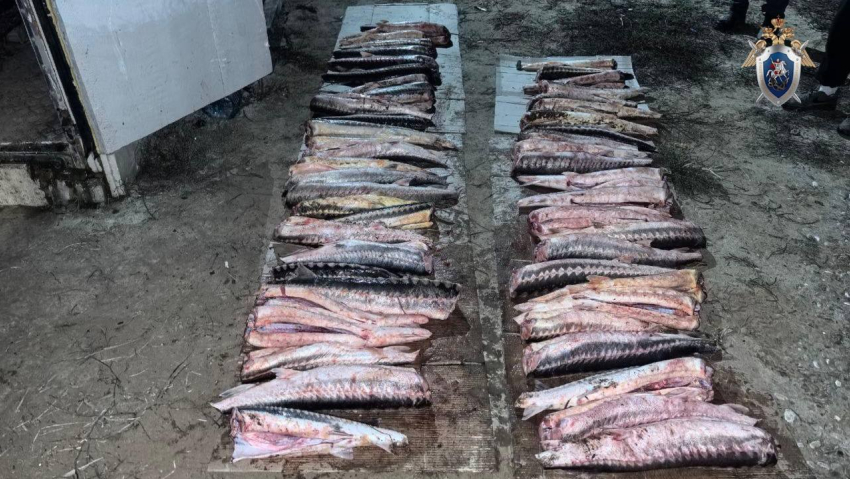 Под Астраханью вынесли приговор браконьеру, он получил реальный срок