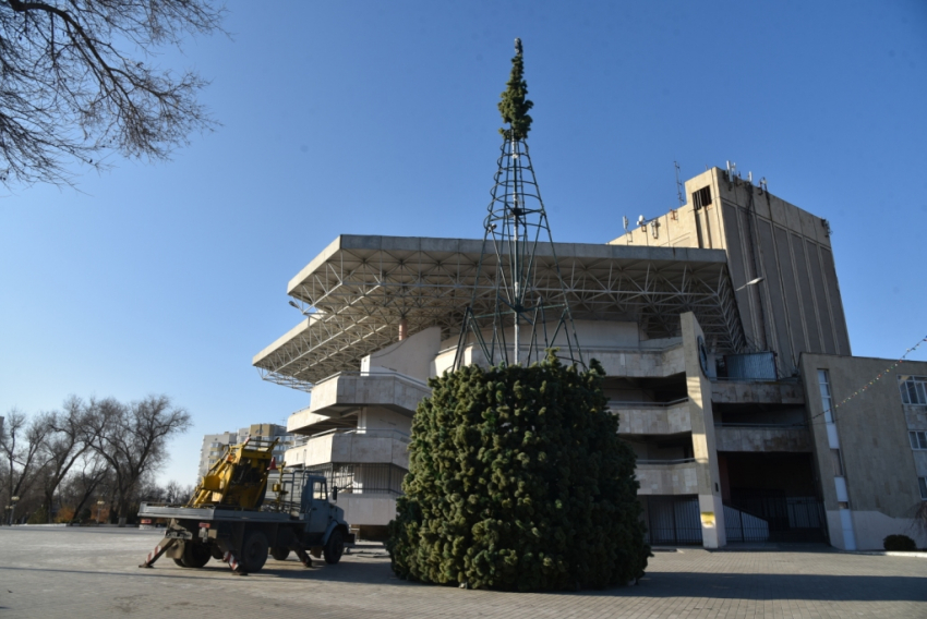 В Астрахани в парке «Аркадия» начали ставить главную елку города