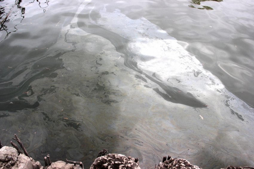 В Астрахани снова обнаружено загрязнение акватории Волги