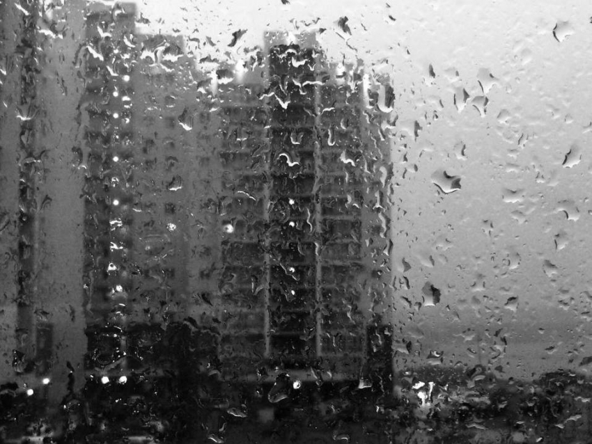 13 ноября в Астрахани ожидается дождь и сильный ветер