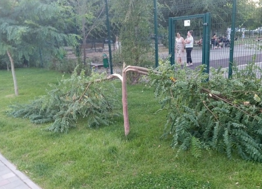 В Астрахани от вандалов пострадал скейт-парк на Татищева