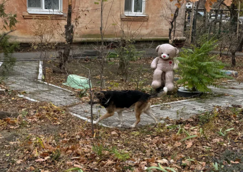 Астраханский суд отказался менять приговор руководству скандального приюта