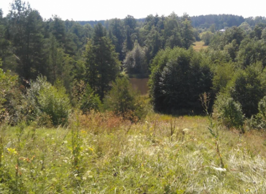 В двух лесничествах Астраханской области открыли пожароопасный сезон