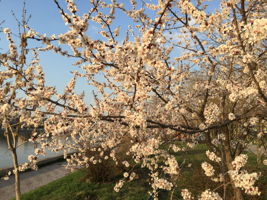 Прогноз погоды, именины, праздники в Астрахани в четверг 6 апреля