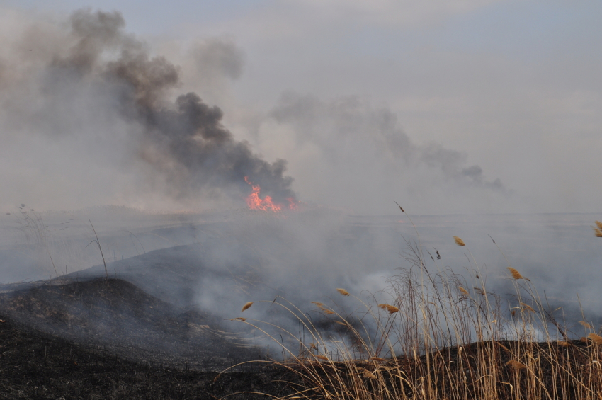 Запах гари не исчезнет из Астрахани пока не утихнут пожары в Казахстане и Калмыкии