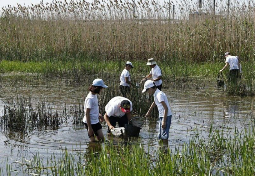 В Астраханской области сформировали 80 «Голубых патрулей»