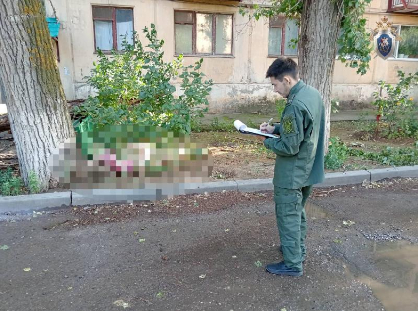 В смерти астраханки от упавшего дерева обвинили директора управляющей компании