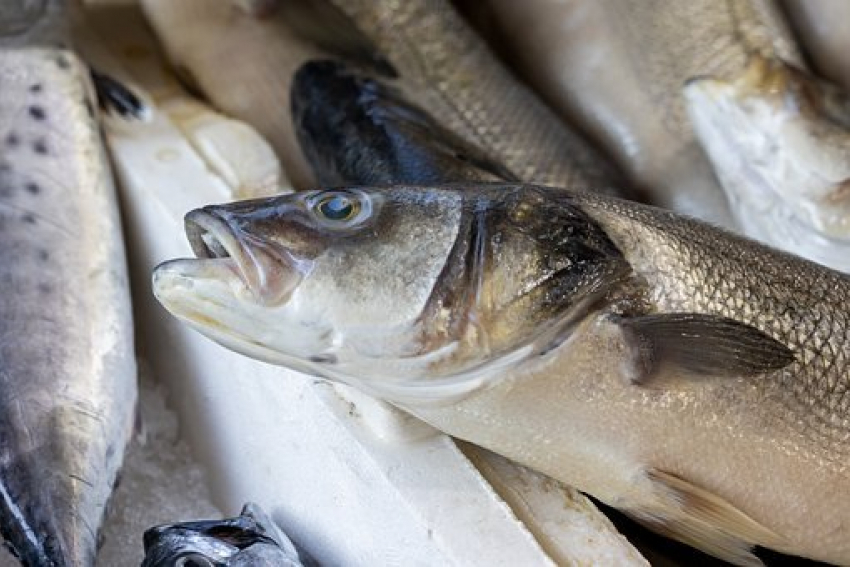Где астраханцы смогут недорого приобрести свежую рыбу?