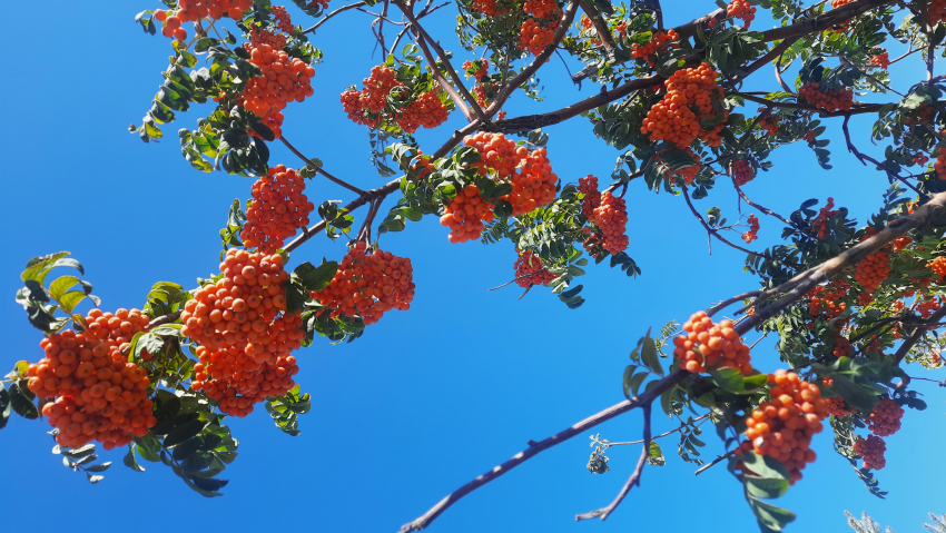 Погода, праздники, именины в пятницу 22 сентября