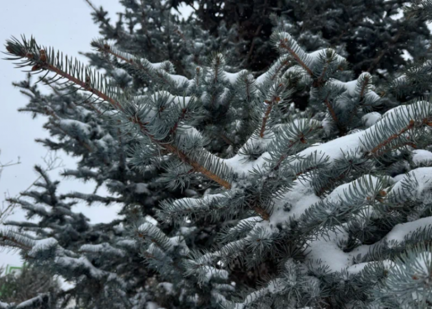 В Астраханской области прогнозируют рост ДТП из-за надвигающихся осадков