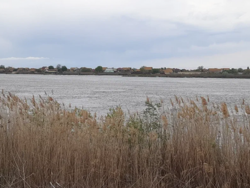 Астраханская область отстояла снижение сбросов с Волжской ГЭС для спасения рыбы