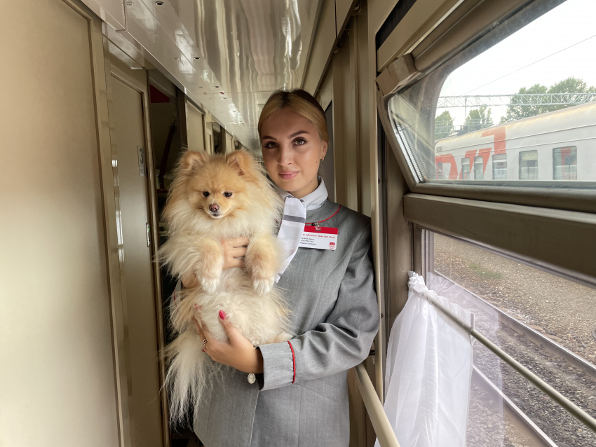 За полгода поездами ПривЖД перевезено более 1,1 тысяч домашних питомцев без сопровождения хозяев 