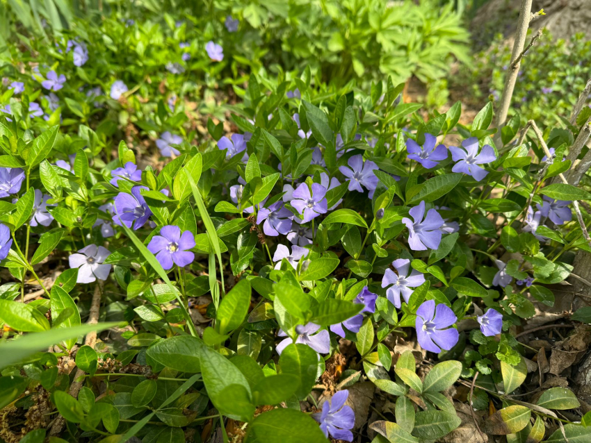 Погода, праздники, именины в среду 17 апреля