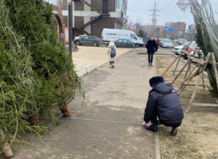 В Астрахани полиция изъяла 196 хвойных деревьев у нелегальных торговцев