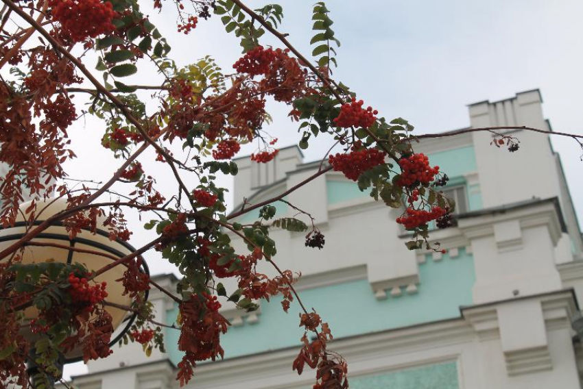 Прогноз погоды, именины, праздники в Астрахани 3 ноября