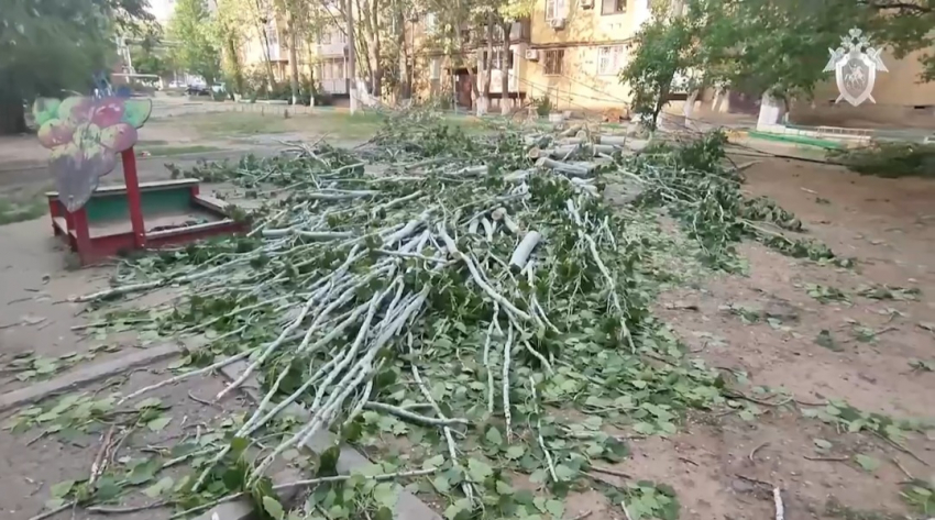 В деле маленькой девочки, погибшей в Астрахани от дерева, новый поворот