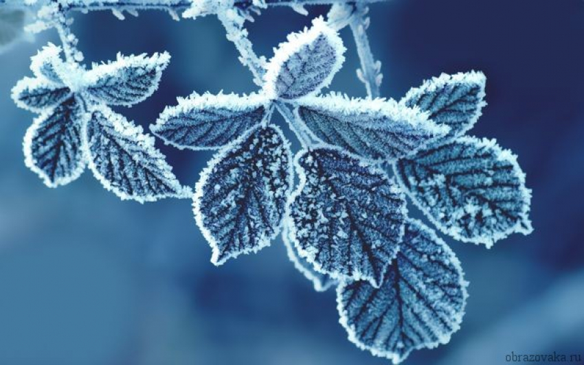 В последний день осени астраханцев ждет мороз: прогноз на 30 ноября