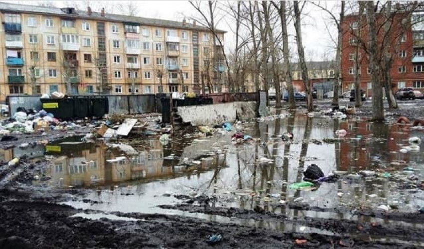 Фото дня: астраханская весна во всей красе