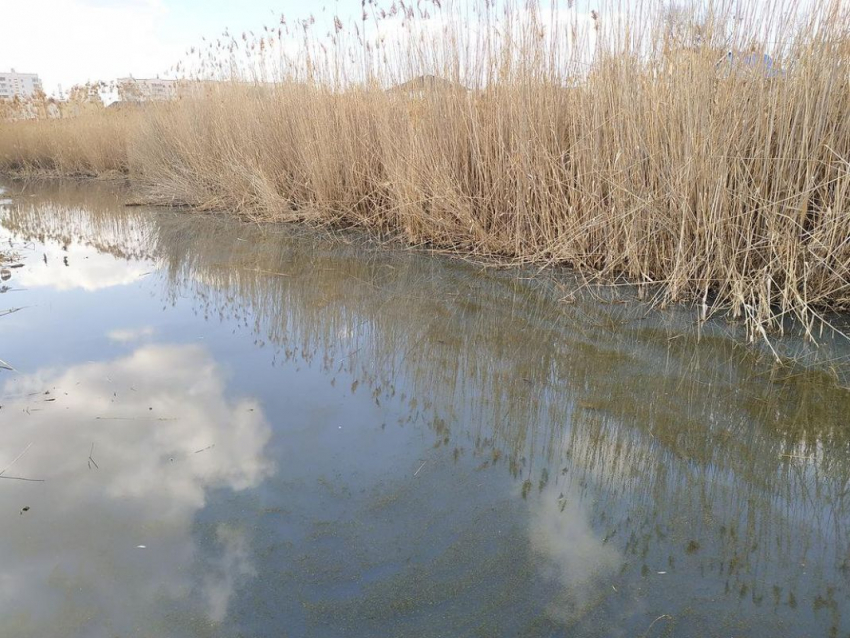Казачий ерик в Астрахани стал водоемом нечистот