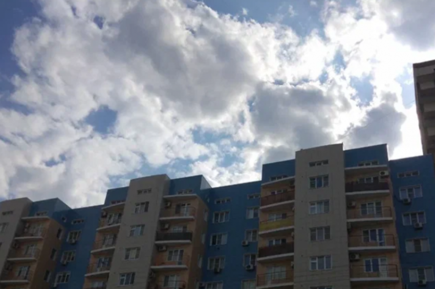 В Астрахани обнаружили животное, зараженное бешенством