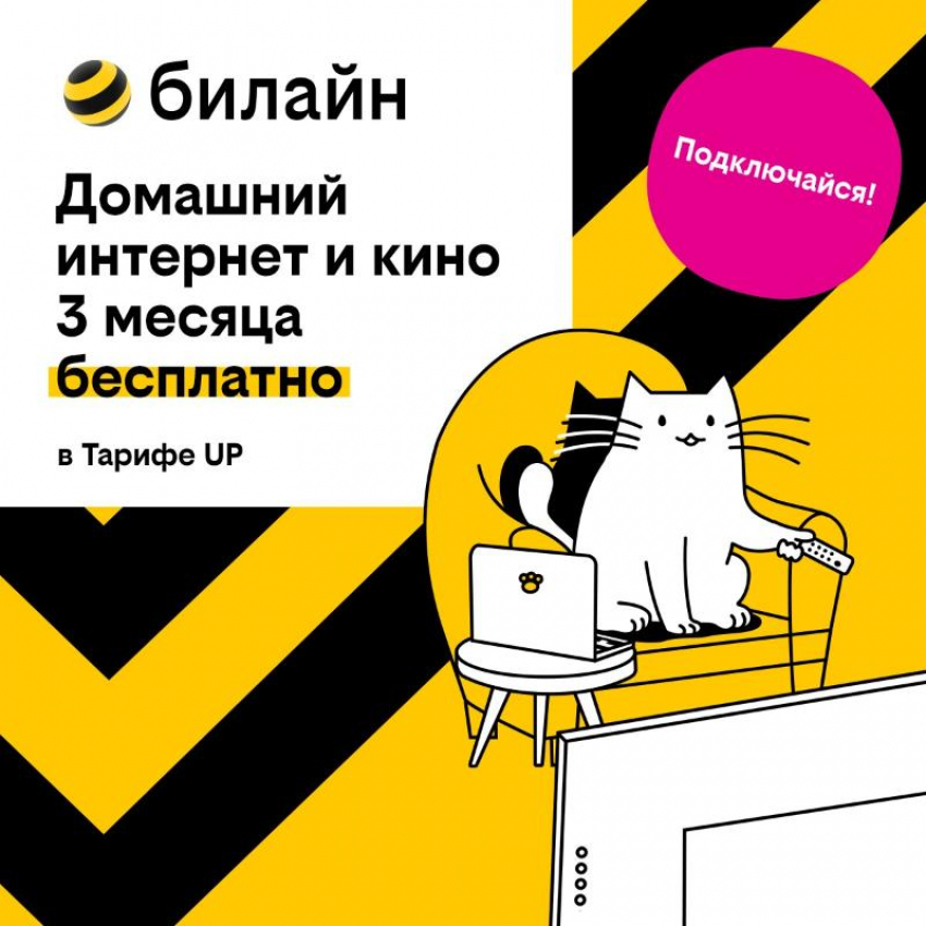 Базя, Пинг и Пуш сделают первые 3 месяца домашнего интернета с кинотеатром и цифровым ТВ бесплатными