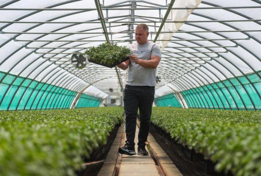 Игорь Бабушкин: астраханские овощи и рыбу полюбили в России и за ее пределами