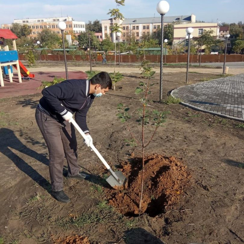 Парк в спальном районе Астрахани станет зеленее