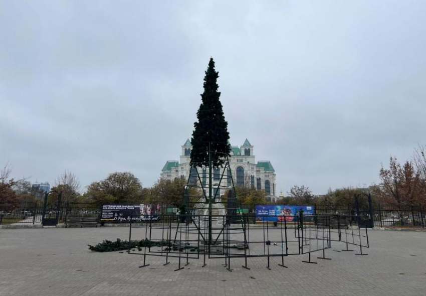 Астраханцам раскрыли расположение всех новогодних елок в городе