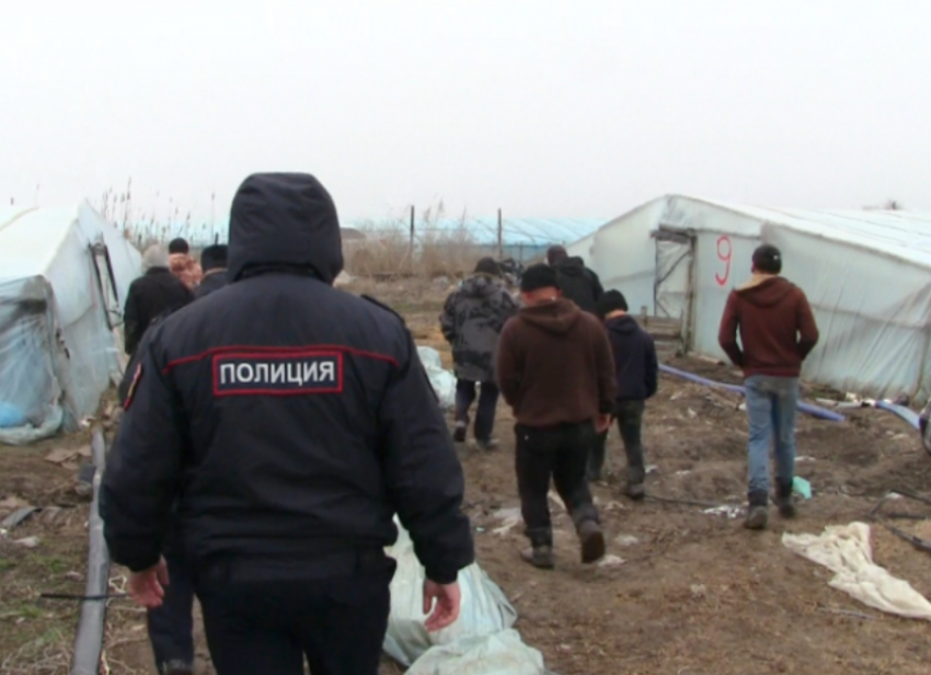 Под Астраханью в тепличном комплексе разоблачили работников-нелегалов