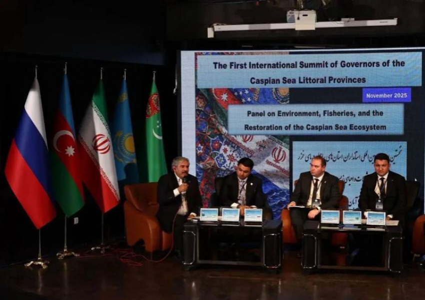 К 2030 году Астраханская область снизит антропогенную нагрузку на Каспий