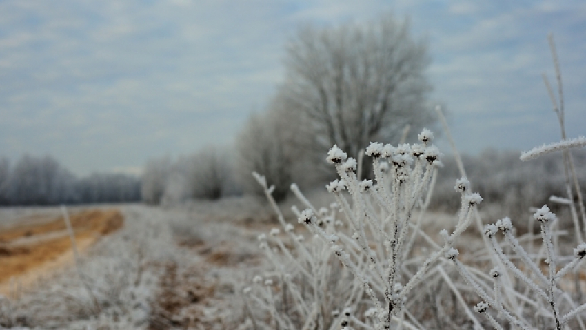 В понедельник в Астрахани до -12: прогноз на 5 декабря