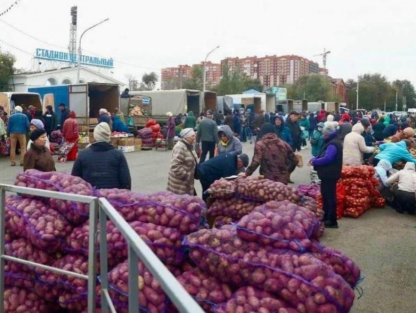 Астраханцев приглашают на сельскохозяйственную ярмарку 