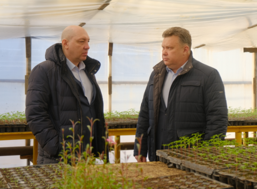 В Астрахани модернизируют цветочные теплицы