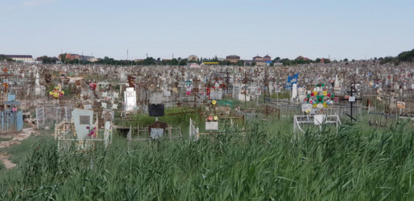 "Покойники не устроят себе субботник": астраханка возмутилась состоянием Старого кладбища 