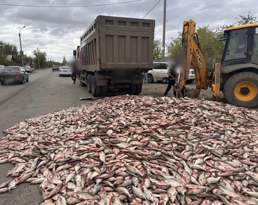 В Астрахани рыбная гора перегородила дорогу