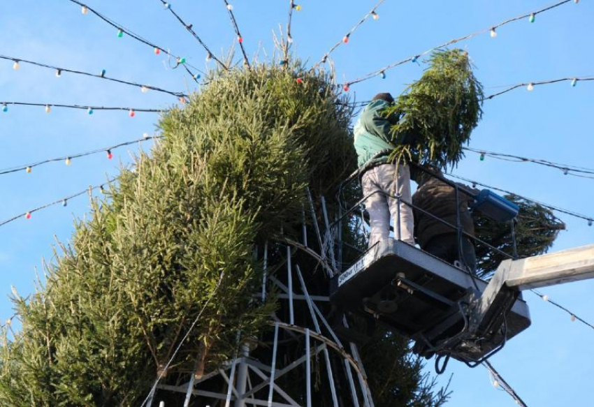 В Астрахани поставят гигантское новогоднее дерево по многолетнему обычаю