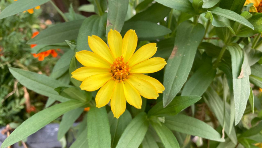 Прогноз погоды, именины, праздники в Астрахани в среду 23 августа