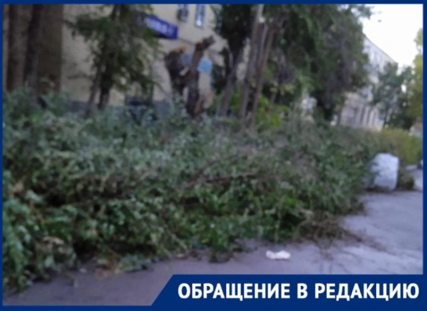 В Астрахани коммунальщики спилили деревья и оставили гнить на тротуаре