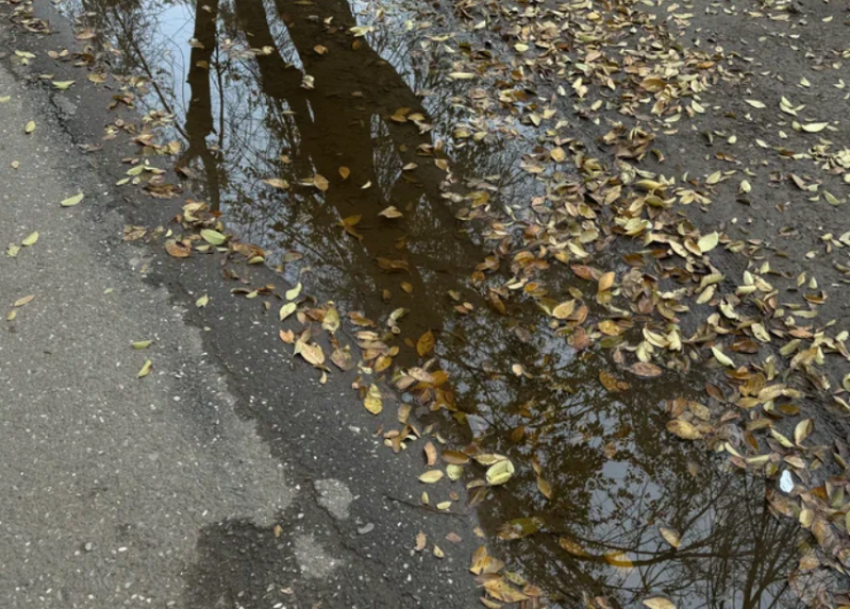 МЧС: на Астраханскую область движутся заморозки