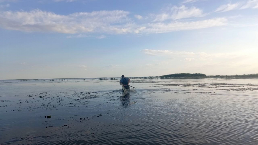 В Астрахани заявили о падении уровня Каспийского моря