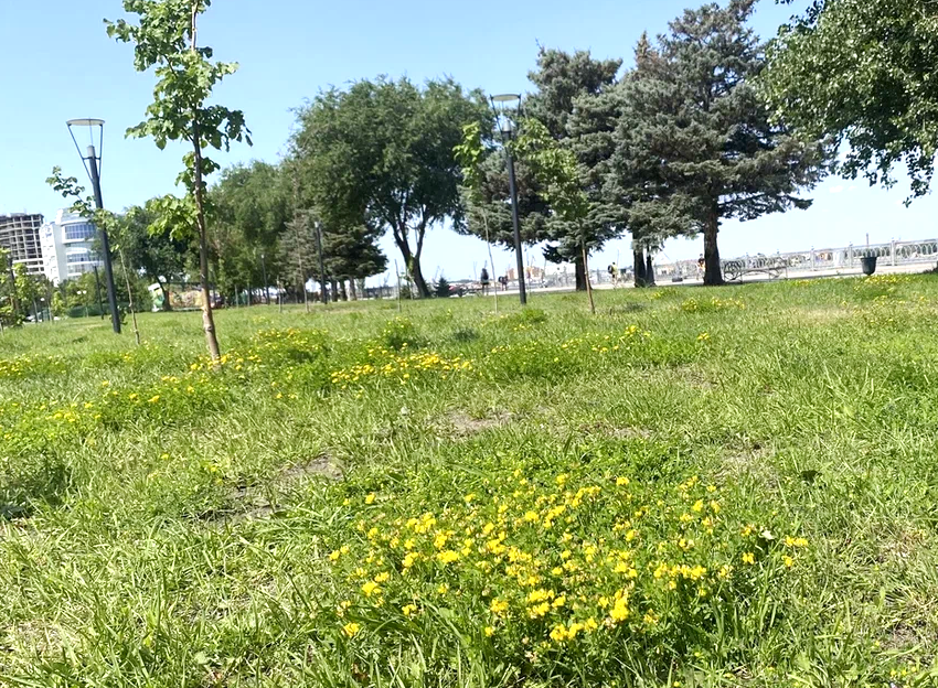 Прогноз погоды, именины, праздники в Астрахани в субботу 24 июня