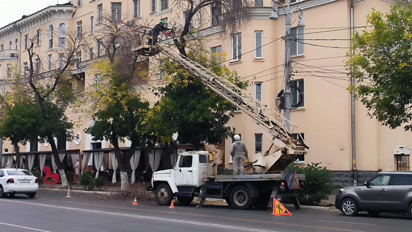 В Астрахани продолжаются работы по опиловке деревьев