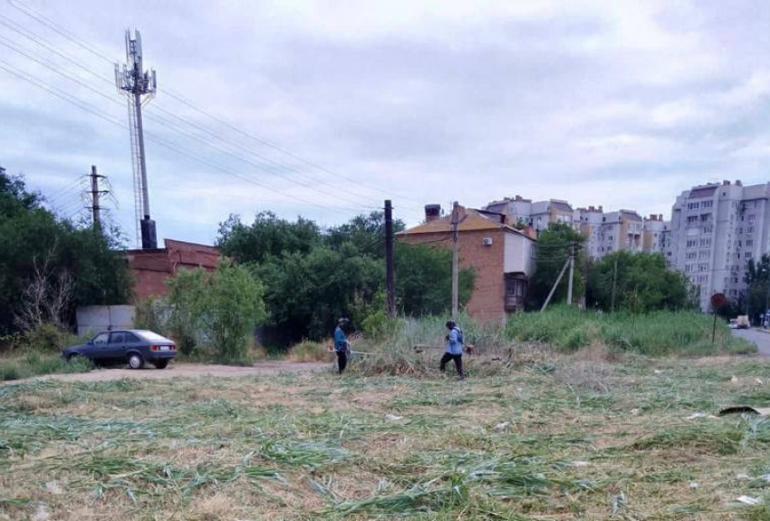 Городские власти избавляют Астрахань от сорной растительности  