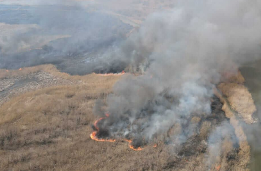 «Жги не хочу»: астраханский заповедник вновь страдает от природных пожаров