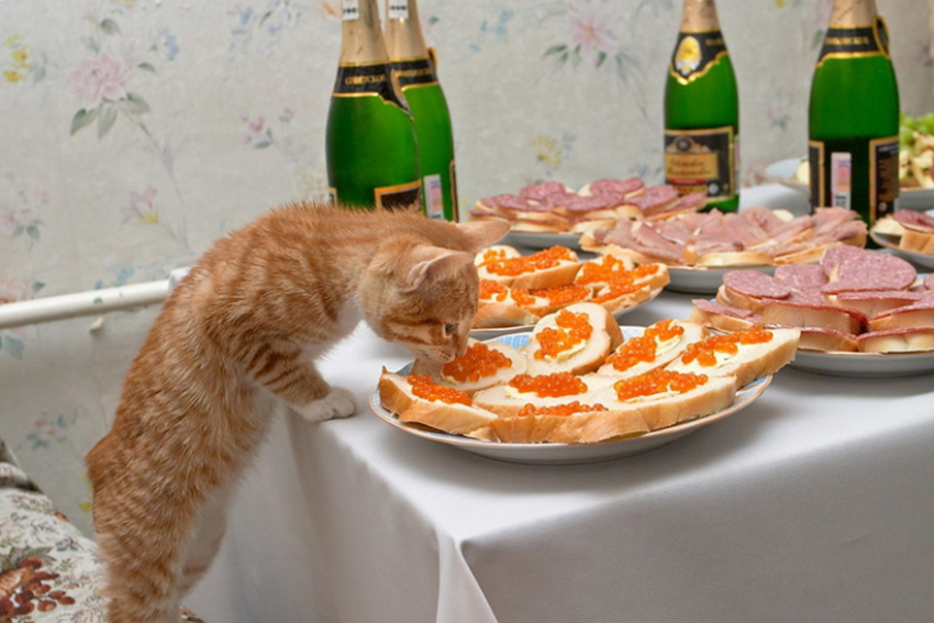 В Госдуме предложили избавить россиян от безделья и сократить новогодние праздники