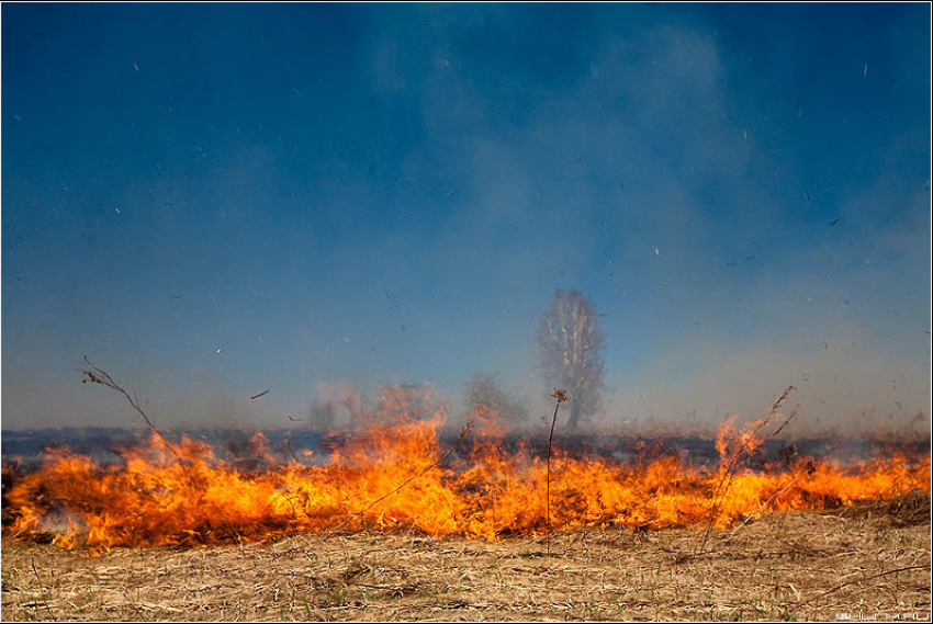 В Астраханской области 12 и 13 сентября сохраняется высокая пожароопасность