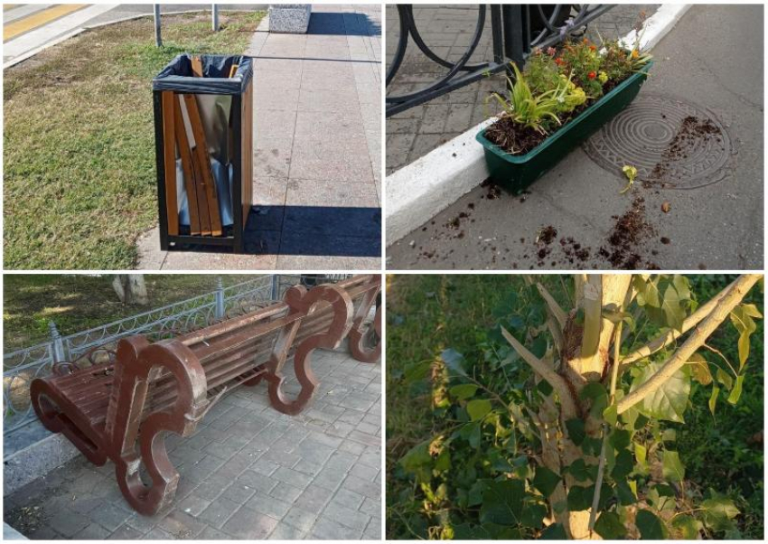 В Астрахани подростки-вандалы сломали новые урны, скамейки и повредили деревья