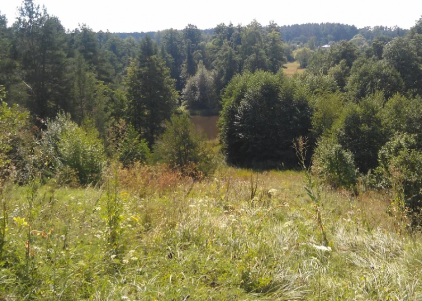 За пожароопасный сезон в Астраханской области было совершено 177 нарушений