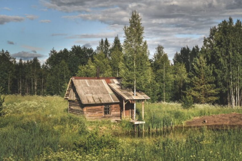 Астраханцы увеличивают свои земельные участки через «лесную амнистию»